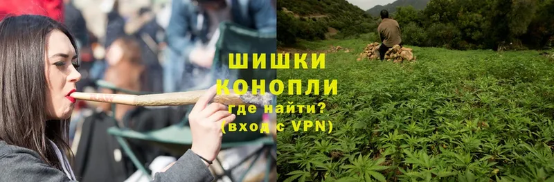 Бошки Шишки OG Kush  продажа наркотиков  Нахабино 